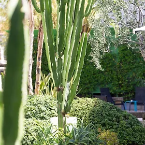 Mercure Centre Notre Dame 4* Nice